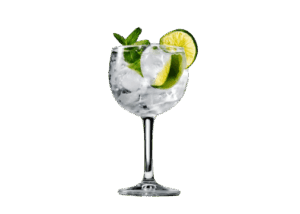 Gin and Tonic Cocktail